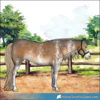 Horse Color:White Spotted Chocolate Palomino Rabicano