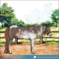 Horse Color:Liver Chestnut Sabino Tobiano 