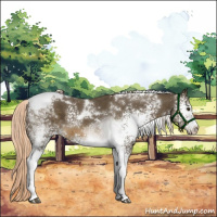 Horse Color:White Spotted Chocolate Palomino Tobiano