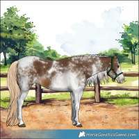 Horse Color:White Spotted Chocolate Palomino Tobiano 