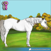 Horse Color:Silver Smoky Black Splash Tobiano Frame Appaloosa 
