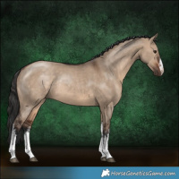Horse Color:White Spotted Brown Dun Rabicano 