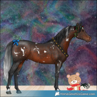 Horse Color:White Spotted Brown 