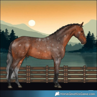 Horse Color:Bay Rabicano 