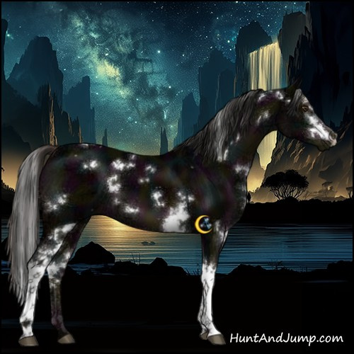 Horse Color:White Spotted Midnight Liver Chestnut Ice
