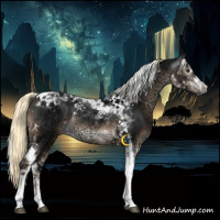 Horse Color:Gray White Spotted Liver Chestnut Ice Mushroom Tobiano Rabicano 