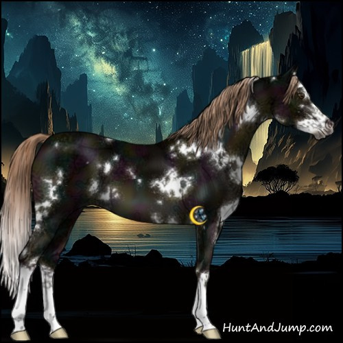 Horse Color:Gray White Spotted Midnight Chocolate Palomino Ice Splash 