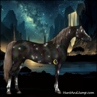 Horse Color:White Spotted Midnight Liver Red Dun Ice Brindle 
