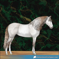 Horse Color:Gray Liver Red Dun Roan Sabino Rabicano 