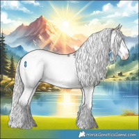 Horse Color:Silver Grullo Sabino Splash Tobiano 
