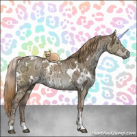 Horse Color:Gray White Spotted Liver Red Dun Ice Pearl Sabino 