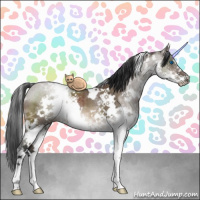 Horse Color:White Spotted Brown Dun Sabino Splash Brindle 
