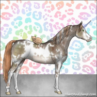 Horse Color:White Spotted Liver Red Dun Sabino Brindle 