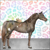 Horse Color:White Spotted Liver Red Dun Brindle 