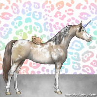 Horse Color:White Spotted Grullo Pearl Sabino Brindle 
