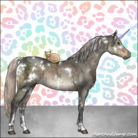 Horse Color:Gray White Spotted Silver Brown Ice Dun Sabino Brindle