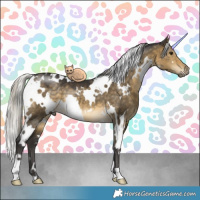 Horse Color:White Spotted Silver Buckskin Dun 