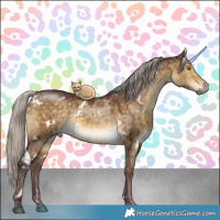 Horse Color:White Spotted Chocolate Silver Buckskin Dun Rabicano Brindle