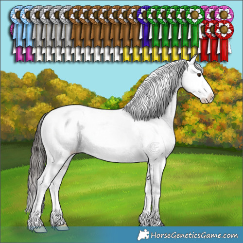 Horse Color:Liver Red Dun Appaloosa Brindle 