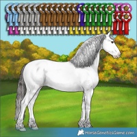 Horse Color:Liver Red Dun Appaloosa Brindle