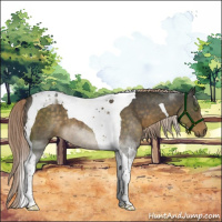 Horse Color:Chocolate Palomino Roan Tobiano 