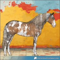 Horse Color:White Spotted Chocolate Palomino Mushroom Sabino 