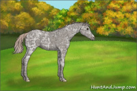 Horse Color:Silver Black Ice 