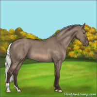 Horse Color:Liver Red Dun Mushroom Varnish Brindle 