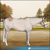 Horse Color:Red Dun Mushroom Varnish Brindle 