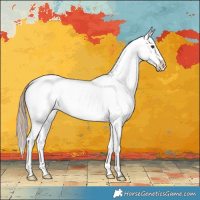 Horse Color:Liver Red Dun Appaloosa Brindle 