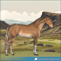 Horse Color:Chocolate Palomino Tobiano 