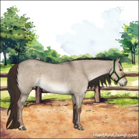 Horse Color:Liver Red Dun Roan 