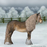 Horse Color:Chocolate Palomino Tobiano