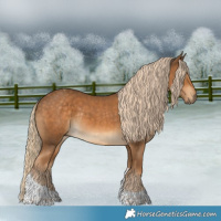 Horse Color:Chocolate Palomino Tobiano Rabicano 