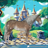 Horse Color:White Spotted Chocolate Palomino 