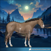 Horse Color:Liver Red Dun Sabino 