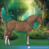 Horse Color:White Spotted Liver Red Dun Rabicano 