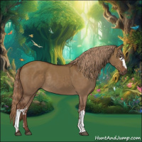 Horse Color:White Spotted Liver Red Dun Rabicano 