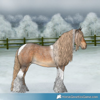 Horse Color:Chocolate Palomino Roan Tobiano 