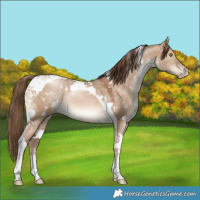 Horse Color:White Spotted Brown Pearl Dun Tobiano 
