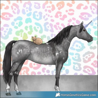 Horse Color:Platinum White Spotted Buckskin Dun Tobiano 