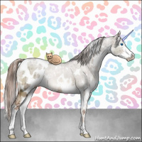 Horse Color:White Spotted Liver Red Dun Sabino Splash Brindle 