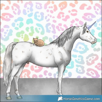 Horse Color:White Spotted Silver Brown Dun Sabino Brindle 