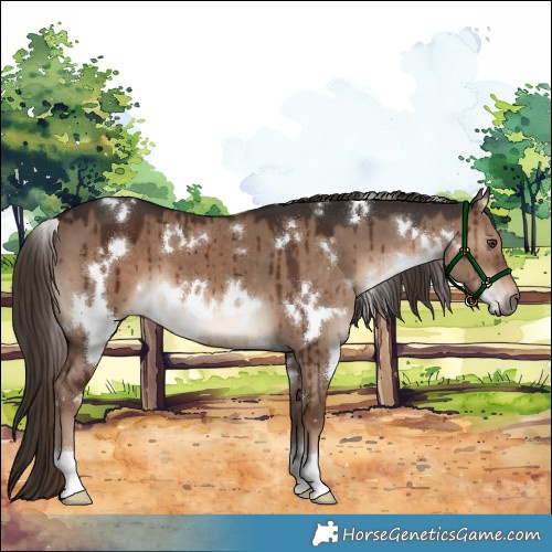 Horse Color:White Spotted Liver Red Dun Brindle 