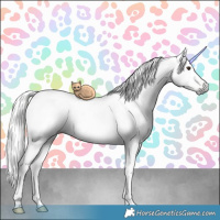 Horse Color:Gray White Spotted Liver Red Dun Ice Brindle 