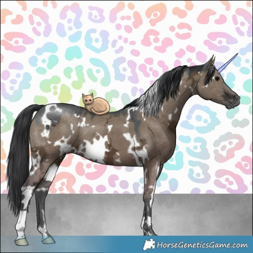 Horse Color:White Spotted Grullo Ice 