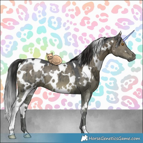 Horse Color:White Spotted Grullo Ice Brindle 