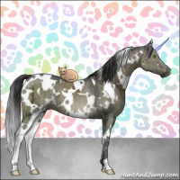 Horse Color:White Spotted Grullo Ice Brindle