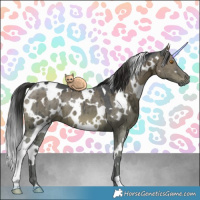 Horse Color:White Spotted Grullo Ice Brindle 