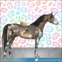 Horse Color:White Spotted Brown Ice Dun Sabino Brindle 
